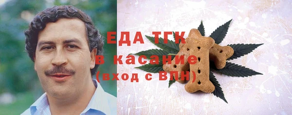 индика Алексин