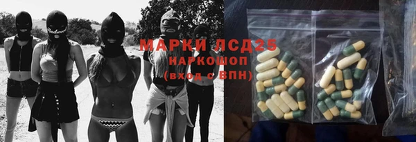 PSILOCYBIN Ельня