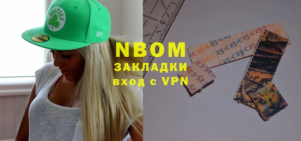 индика Алексин