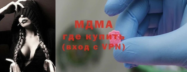 индика Алексин