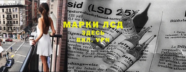 индика Алексин
