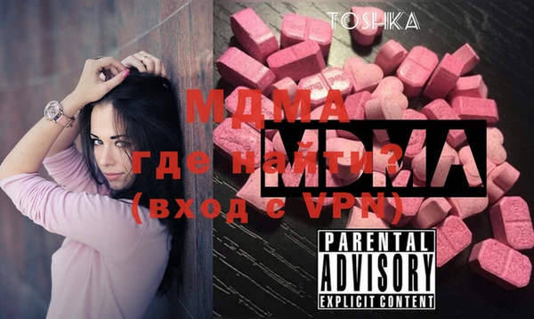 индика Алексин