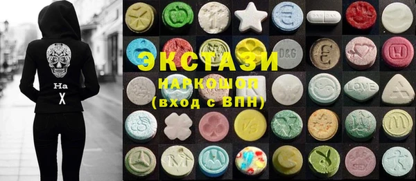 индика Алексин