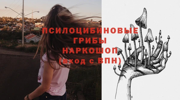 индика Алексин