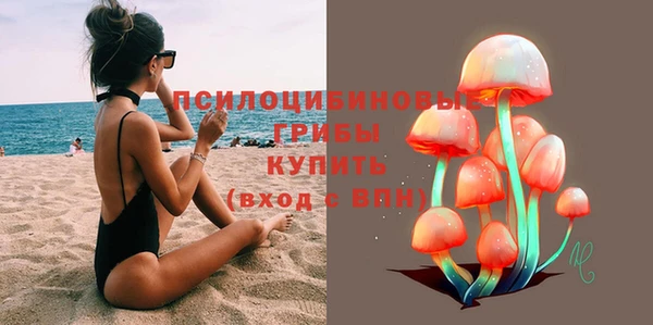 индика Алексин
