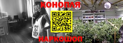молекула духа Владивосток