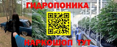 спиды Владимир