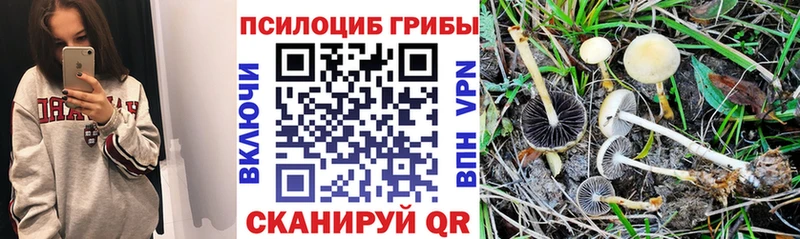 Галлюциногенные грибы GOLDEN TEACHER Переславль-Залесский