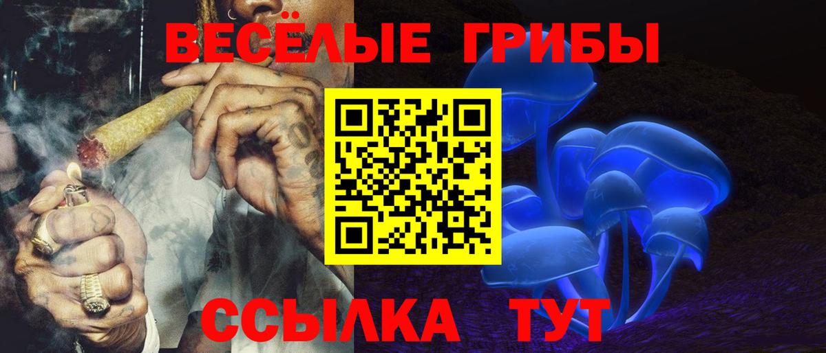 Псилоцибиновые грибы ЛСД Переславль-Залесский
