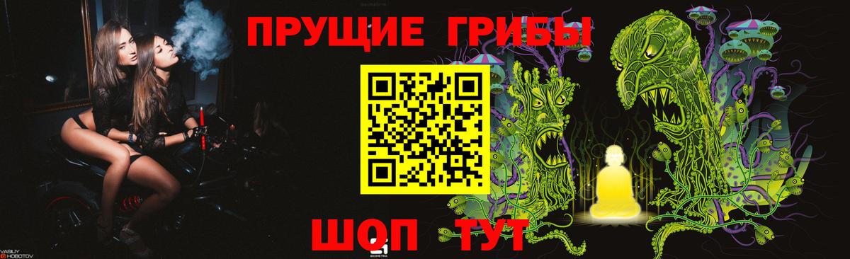Переславль-Залесский  Галлюциногенные грибы прущие грибы  Вход с VPN  Псилоцибиновые грибы ЛСД 